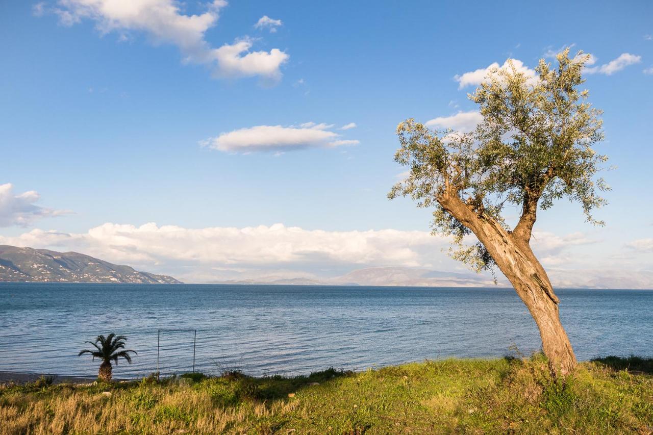 Merlyn Rooms Into The Nature, 100M From The Beach Dafnila Exteriér fotografie